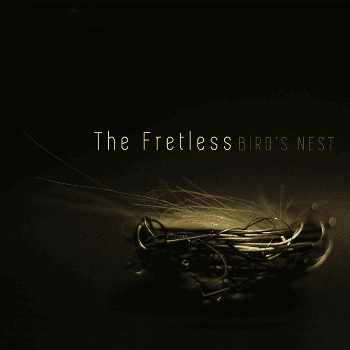 The Fretless - Bird's Nest