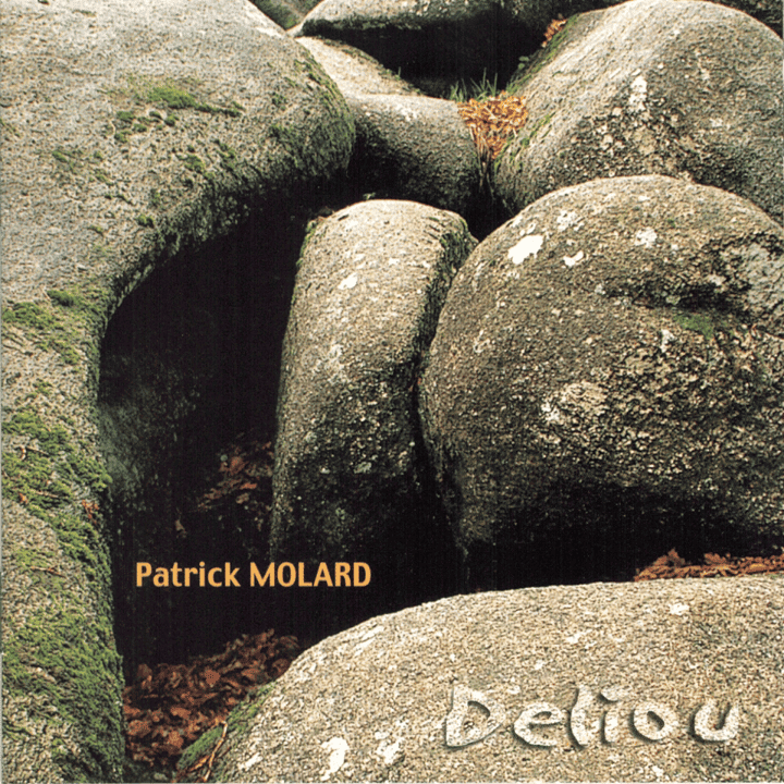 Patrick Molard - Deliou