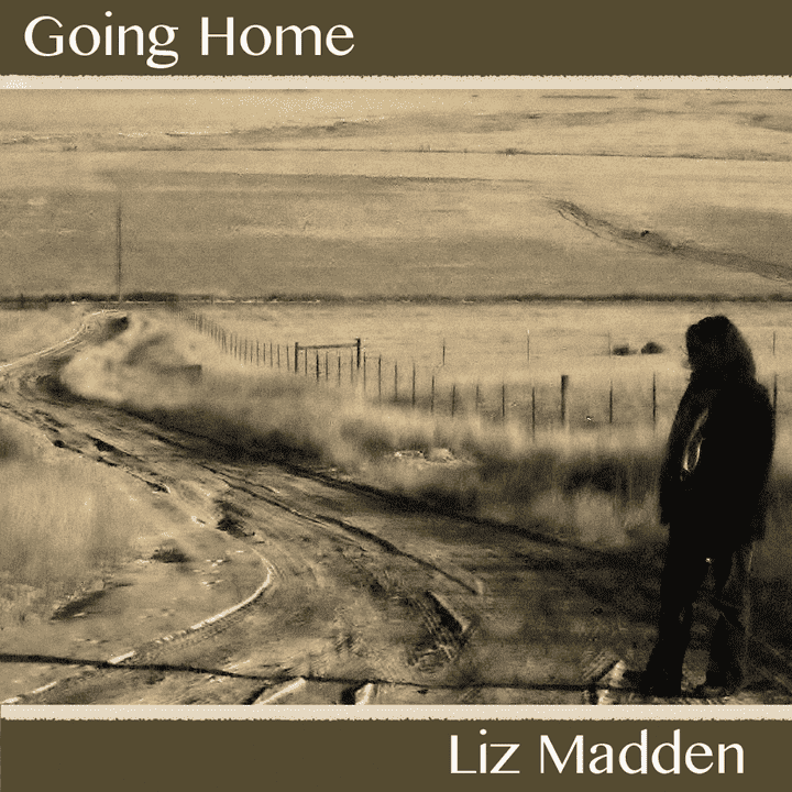 Liz Madden - Going Home