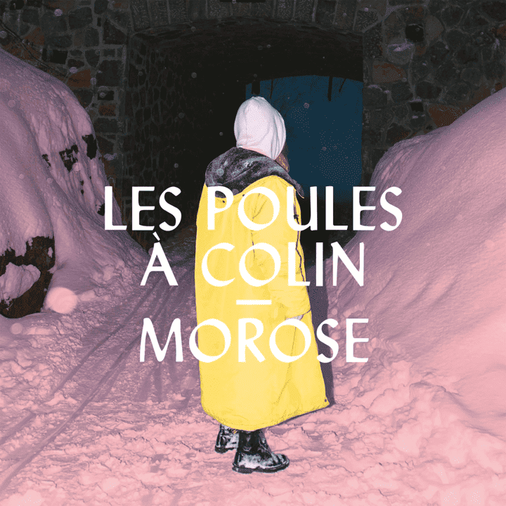 Les Poules À Colin - Morose