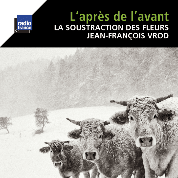 Jean-François Vrod, Sylvain Lemêtre, Frédéric Aurier - L'après de l'avant