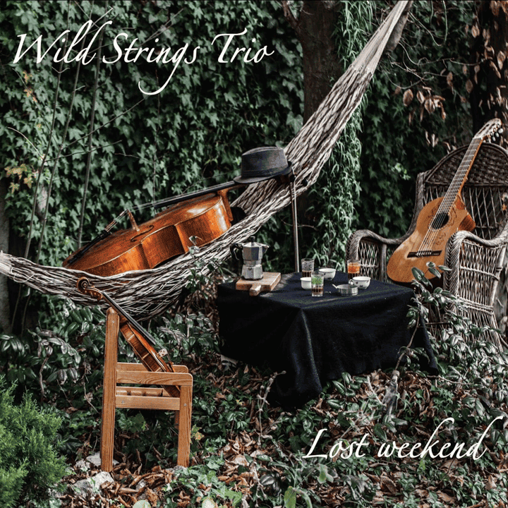 Wild Strings Trio - Lost Weekend