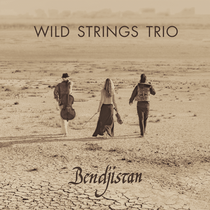 Wild Strings Trio - Bendjistan