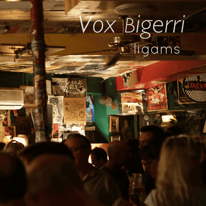 Vox Bigerri - Ligams