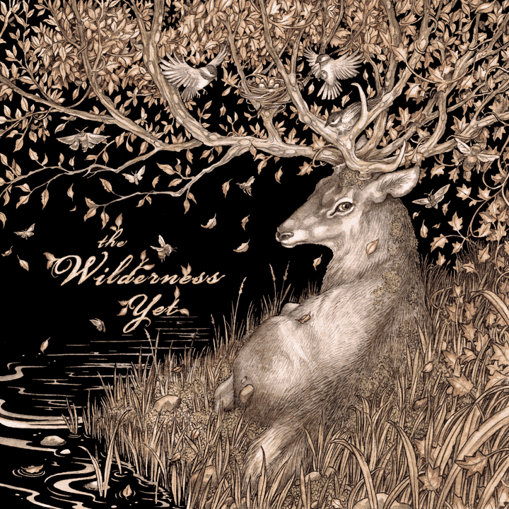 The Wilderness Yet - The Wilderness Yet