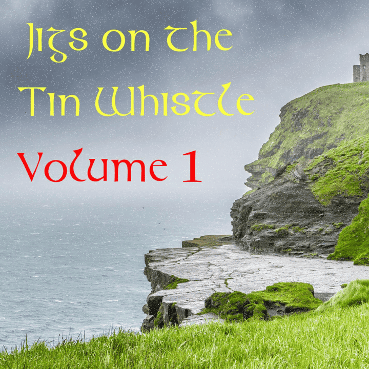 The Whistler - Jigs on the Tin Whistle: Volume 1