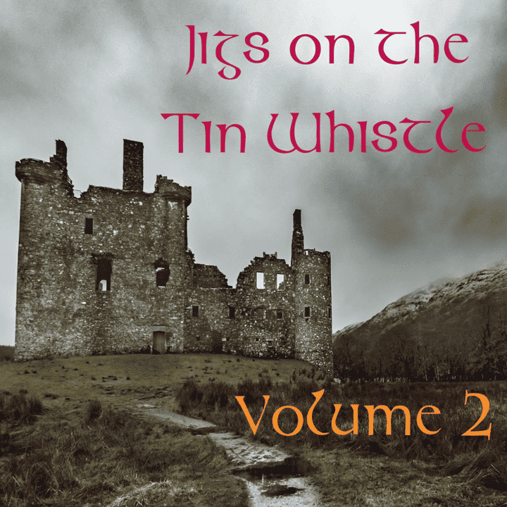 The Whistler - Jigs on the Tin Whistle: Volume 2