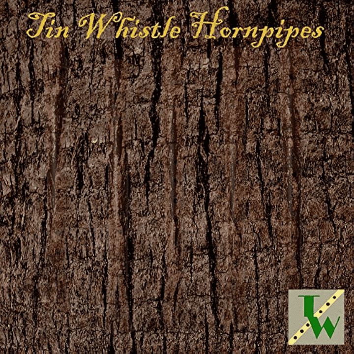 The Whistler - Tin Whistle Hornpipes