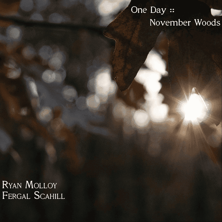 Ryan Molloy, Fergal Scahill - One Day: November Woods