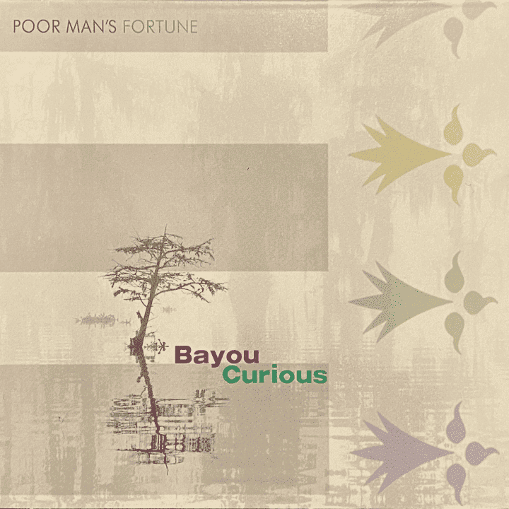 Poor Man's Fortune - Bayou Curious