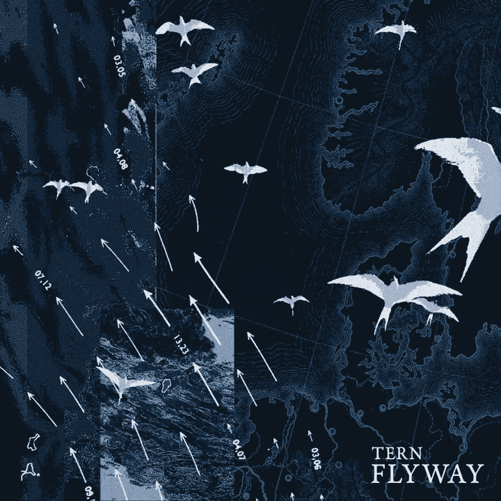 Tern - Flyway