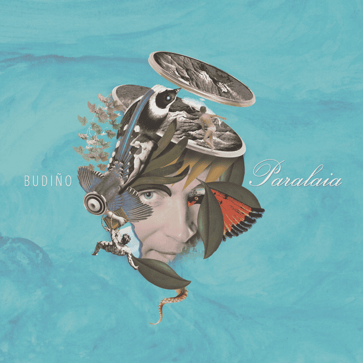 Budiño - Paralaia