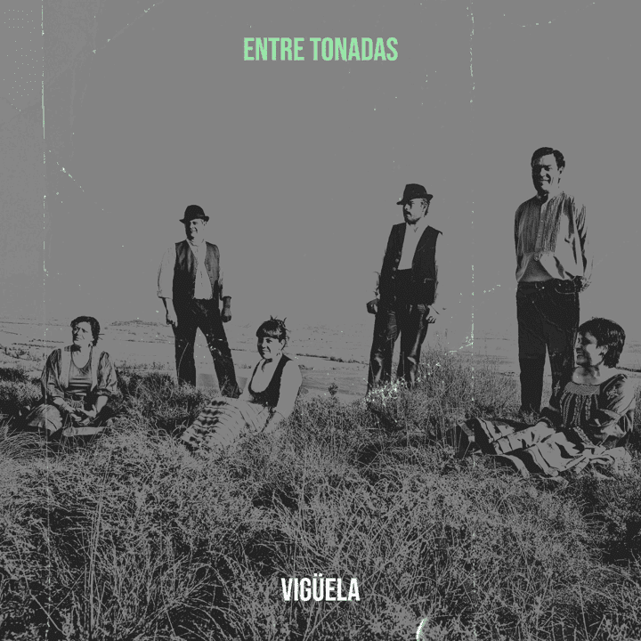 Vigüela - Entre Tonadas