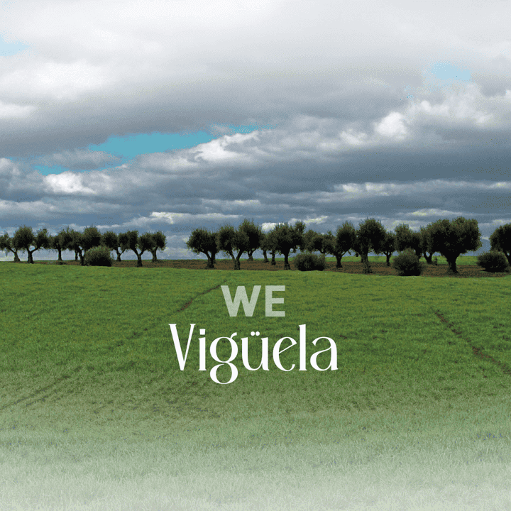 Vigüela - We