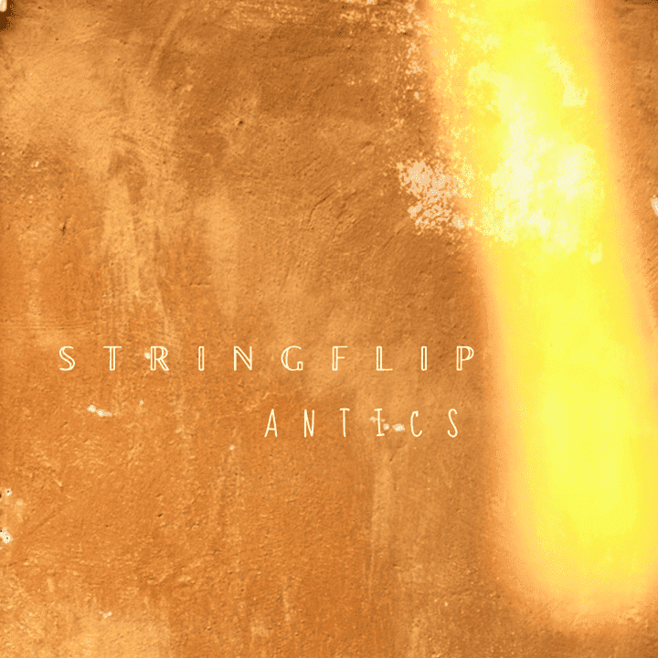 Stringflip - Antics