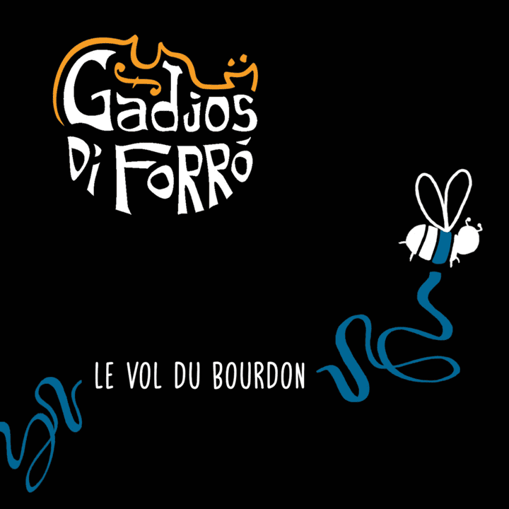 Gadjos Di Forró - Le vol du bourdon Gadjos Di Forró - Le vol du bourdon