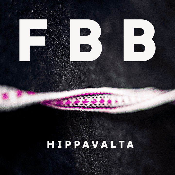 Sibelius Academy Folk Big Band - Hippavalta