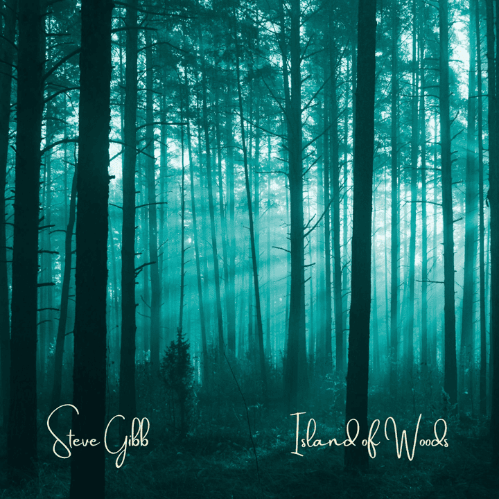 Steve Gibb - Island of Woods