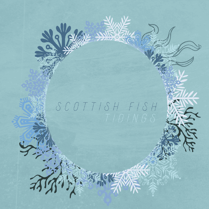 Scottish Fish - Tidings
