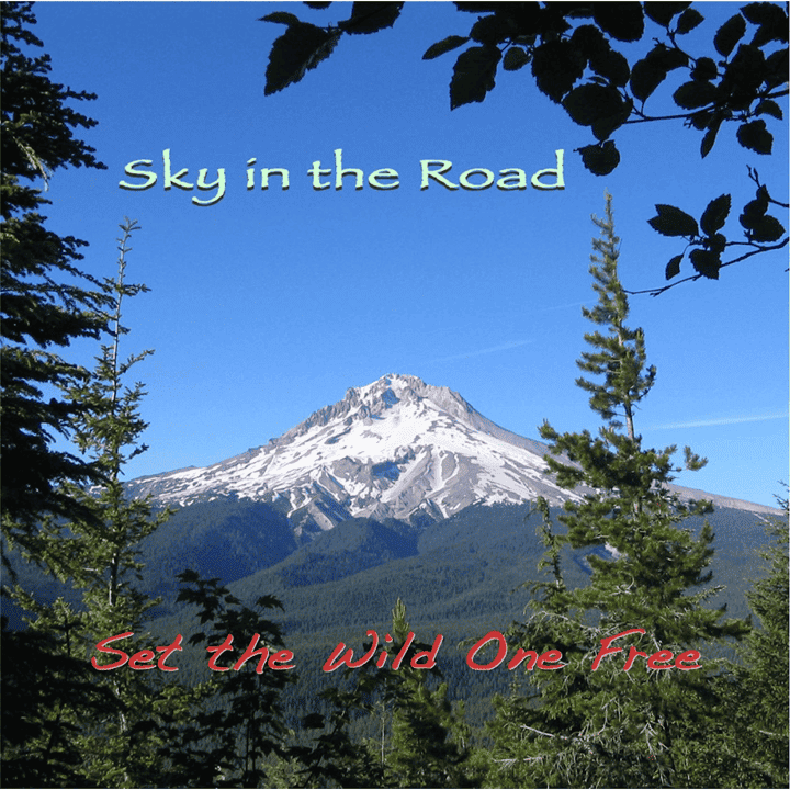 Sky in the Road - Set the Wild One Free