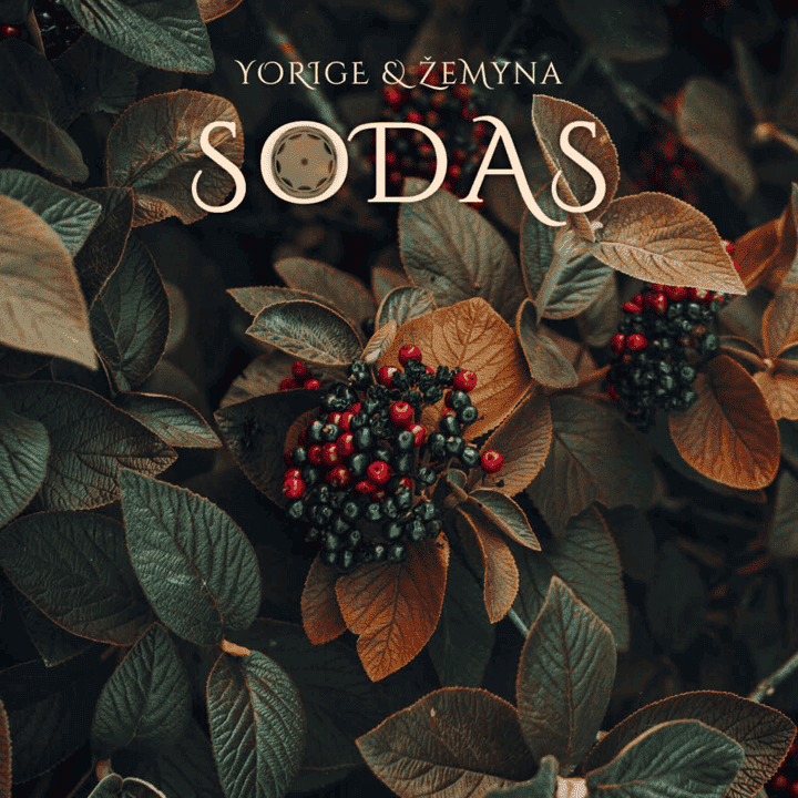 Žemyna Trinkunaite, Yorige - Sodas