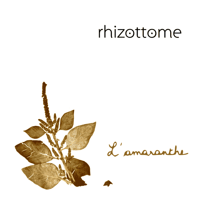 Rhizottome - L'amaranthe