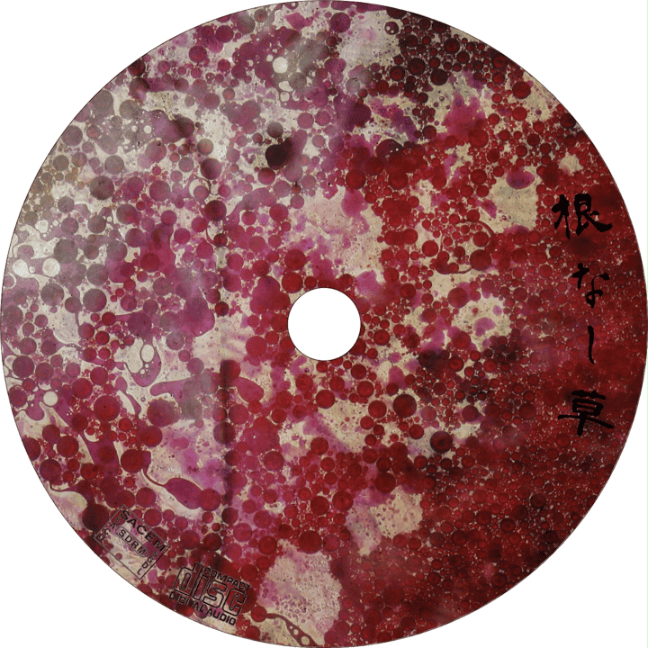 Rhizottome - Nenashigusa